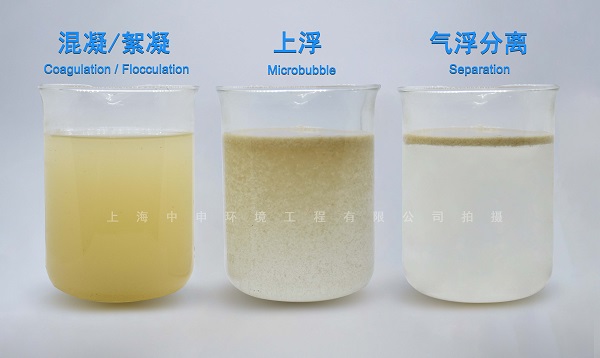 氣浮效果實(shí)驗(yàn)圖 氣浮效果實(shí)驗(yàn)圖