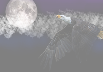 至高品質(zhì) 持續(xù)創(chuàng)新 至高品質(zhì) 持續(xù)創(chuàng)新